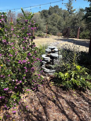 Property grounds - Tropical Retreat. Great for 6-8 guest. Close to beaches. (Arroyo Grande)