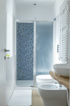 Shower, hair dryer, bidet, towels