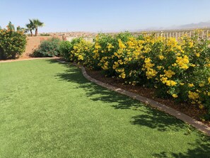 Property grounds - VIEW, NEWER HOME NEAR COLORADO RIVER, GOLF, SHOPPING, ATV TRAILS (Fort Mohave)
