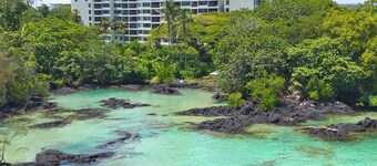 Direct Oceanfront Mauna Loa Shores  #508   New Remodel next to Beach Park