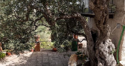 Pet-Friendly Villa 'Rosa' with Sea View & Terraces