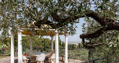 Haustierfreundliche Villa 'Rosa' mit Meerblick und Terrassen