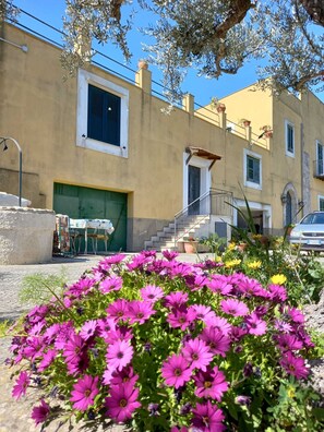 Exterior - Pet-Friendly Villa 'Rosa' with Sea View & Terraces (Licata)