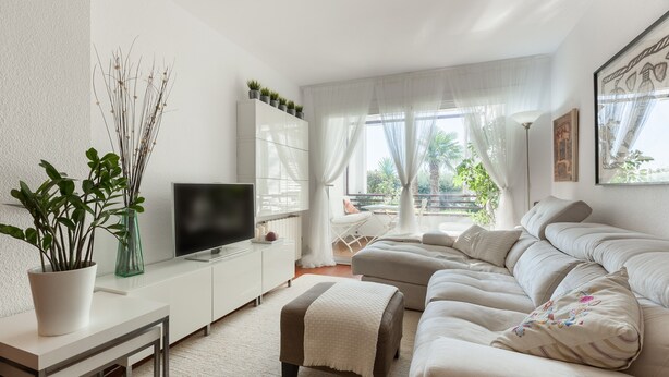 Un salon moderne avec un téléviseur à écran plat, un canapé, une table basse et une plante en pot.