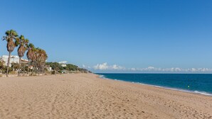 Une plage de sable fin, bordée de palmiers, sous un ciel bleu et dégagé.