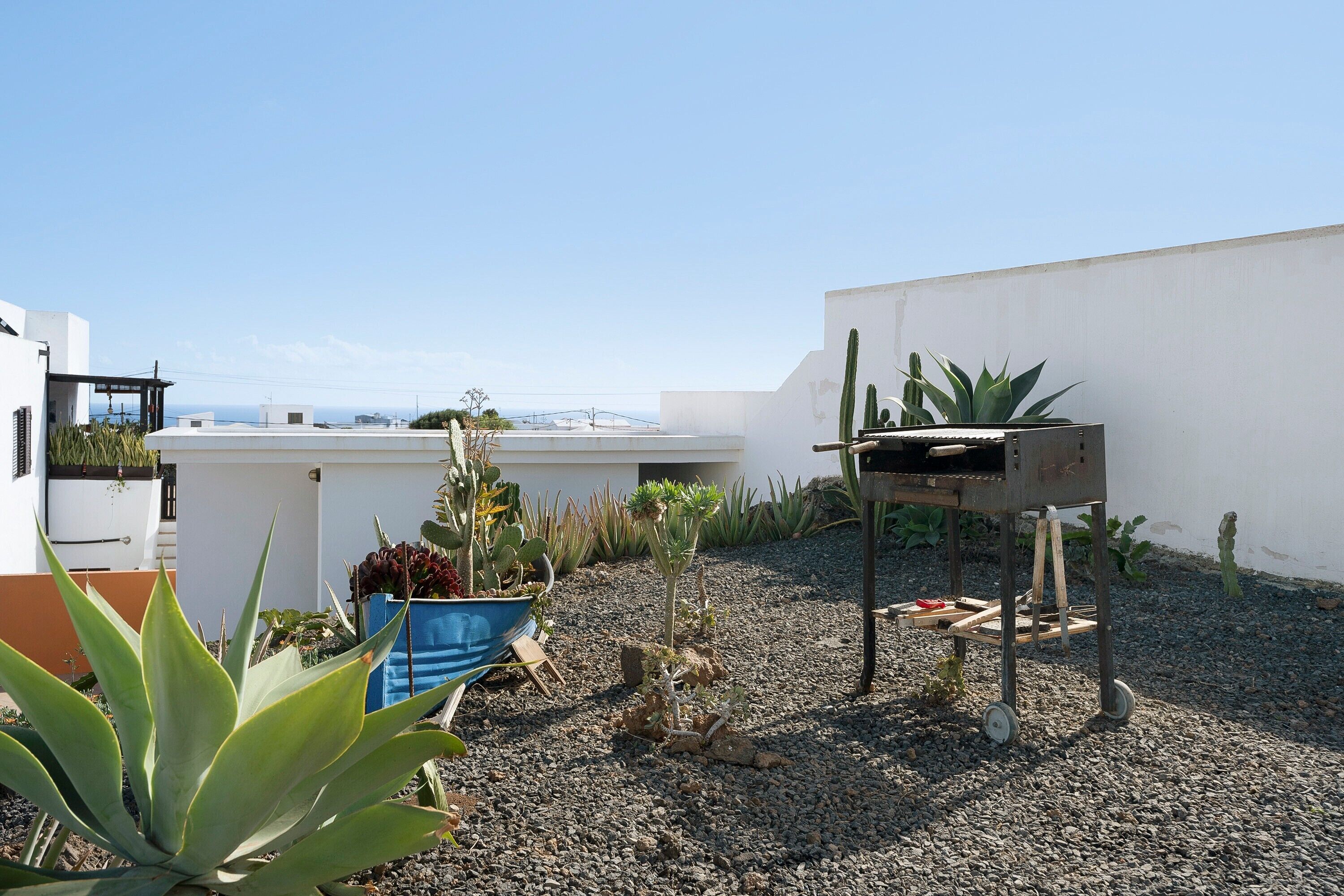 Una azotea con una parrilla, plantas en macetas y vistas al mar.