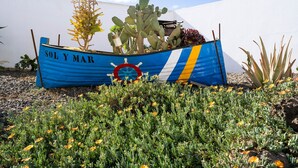 Un cartel con el texto 'SOL Y MAR', un gráfico de volante y cactus y suculentas.