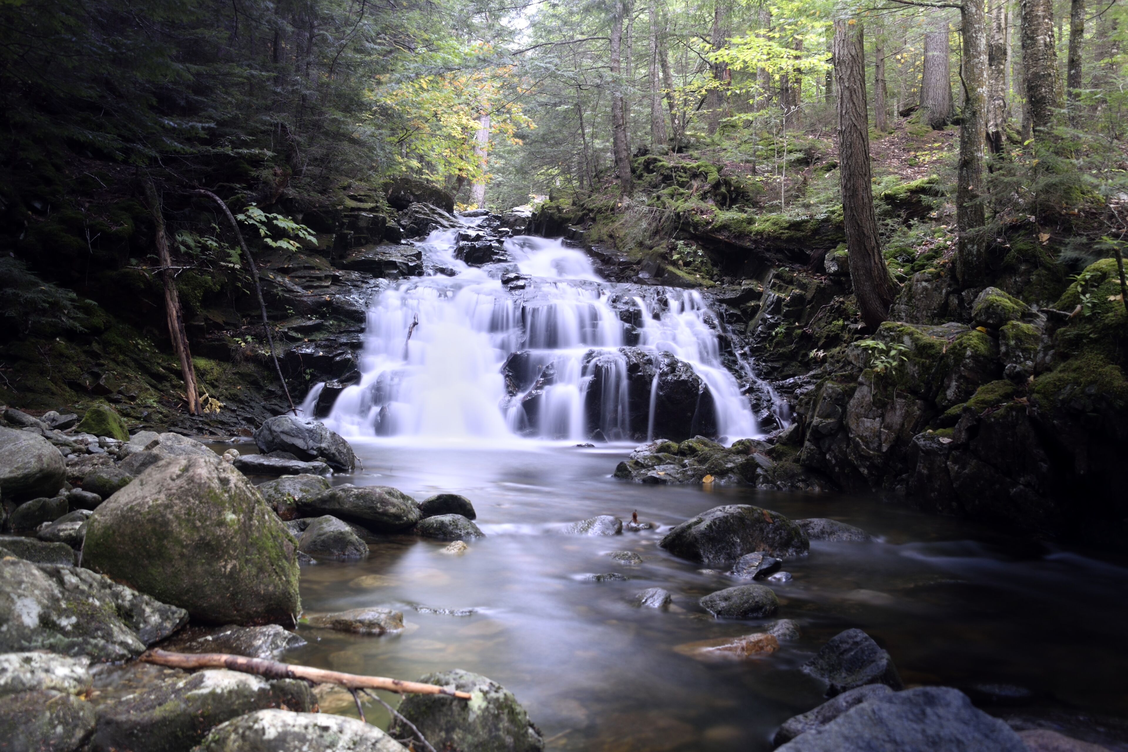Una cascata in una zona boschiva, tra rocce e muschio.