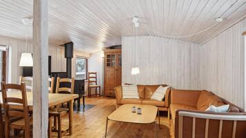 TV connectée, cheminée