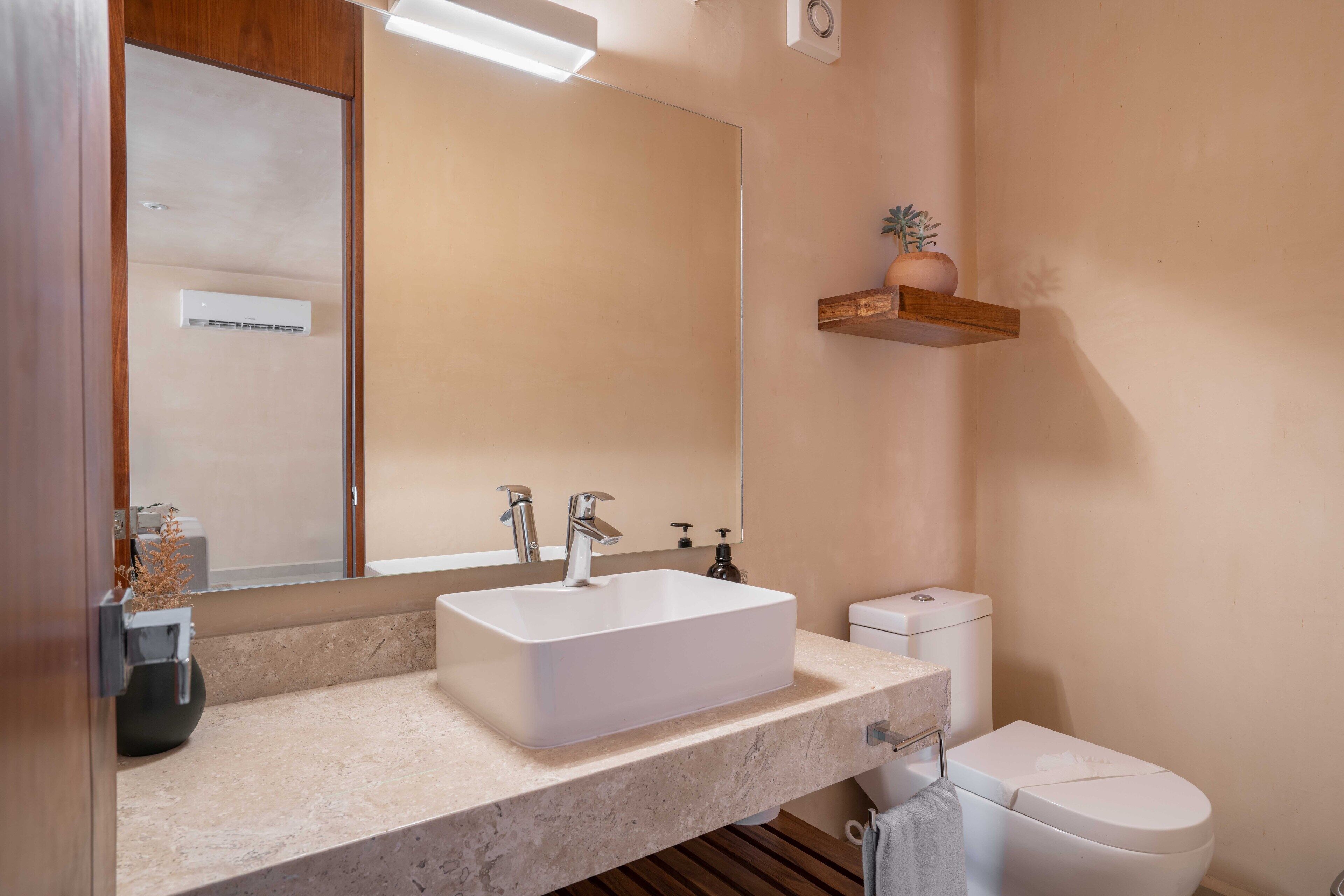A bathroom with a white sink, a mirror, a toilet, and a shelf with a potted plant.