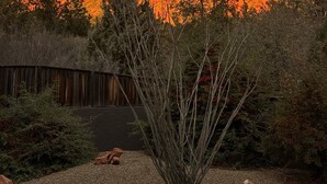 Eine große, orangefarbene Felsformation mit Holzzaun und vereinzelter Vegetation im Vordergrund.