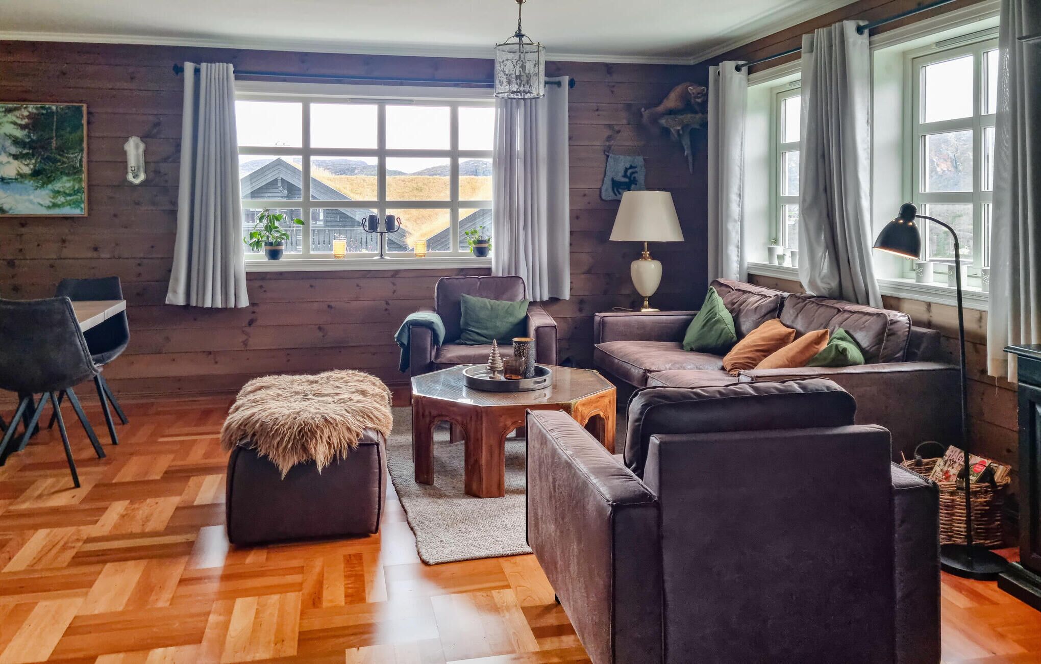 تلفزيون، مدفأة