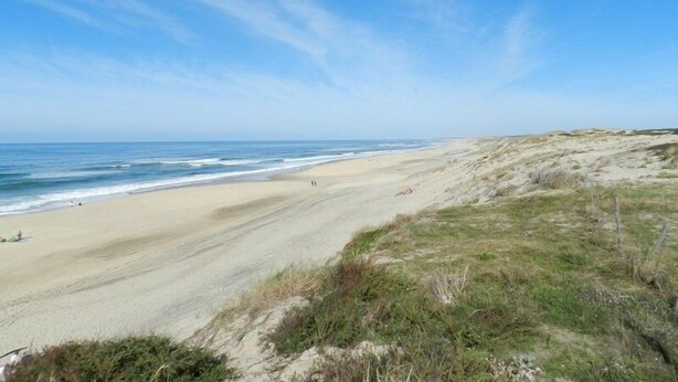 Ein Strand mit blauem Himmel und sanften Wellen.