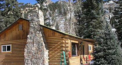 High Mountain 3 BR log home w/ fireplace