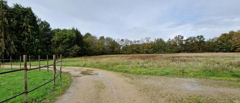 A gravel path leading through a rural landscape with a wooden fence on one side and a field on the other.