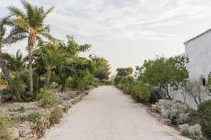 Garden - masseria gorgognolo (Ostuni)