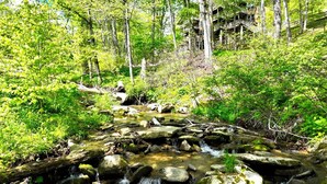 A forested area with a stream and a building with multiple balconies.