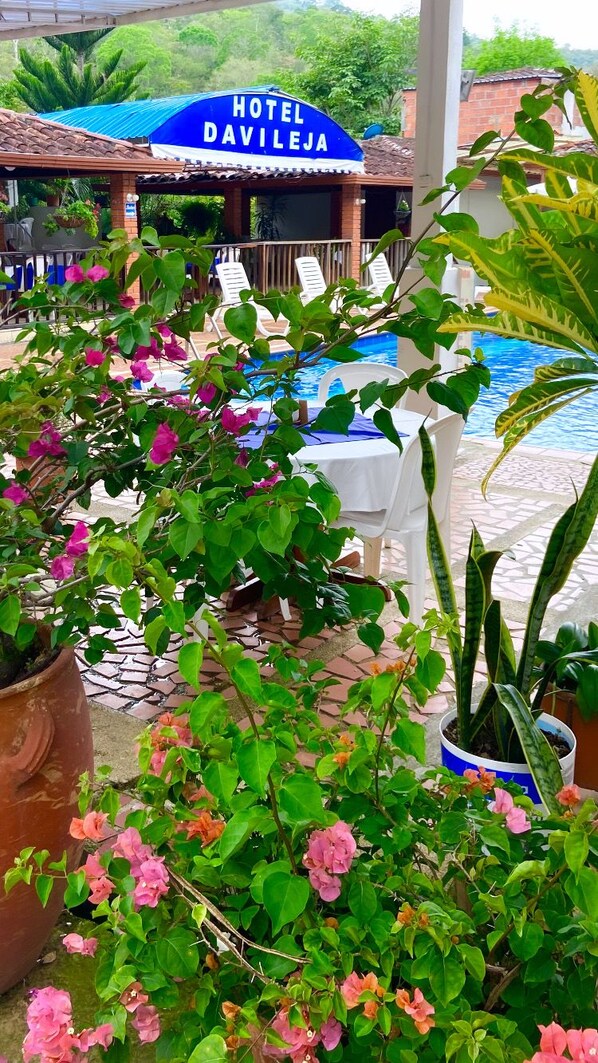 A hotel named 'Hotel Davileja' with a pool area, outdoor seating, and lush greenery.