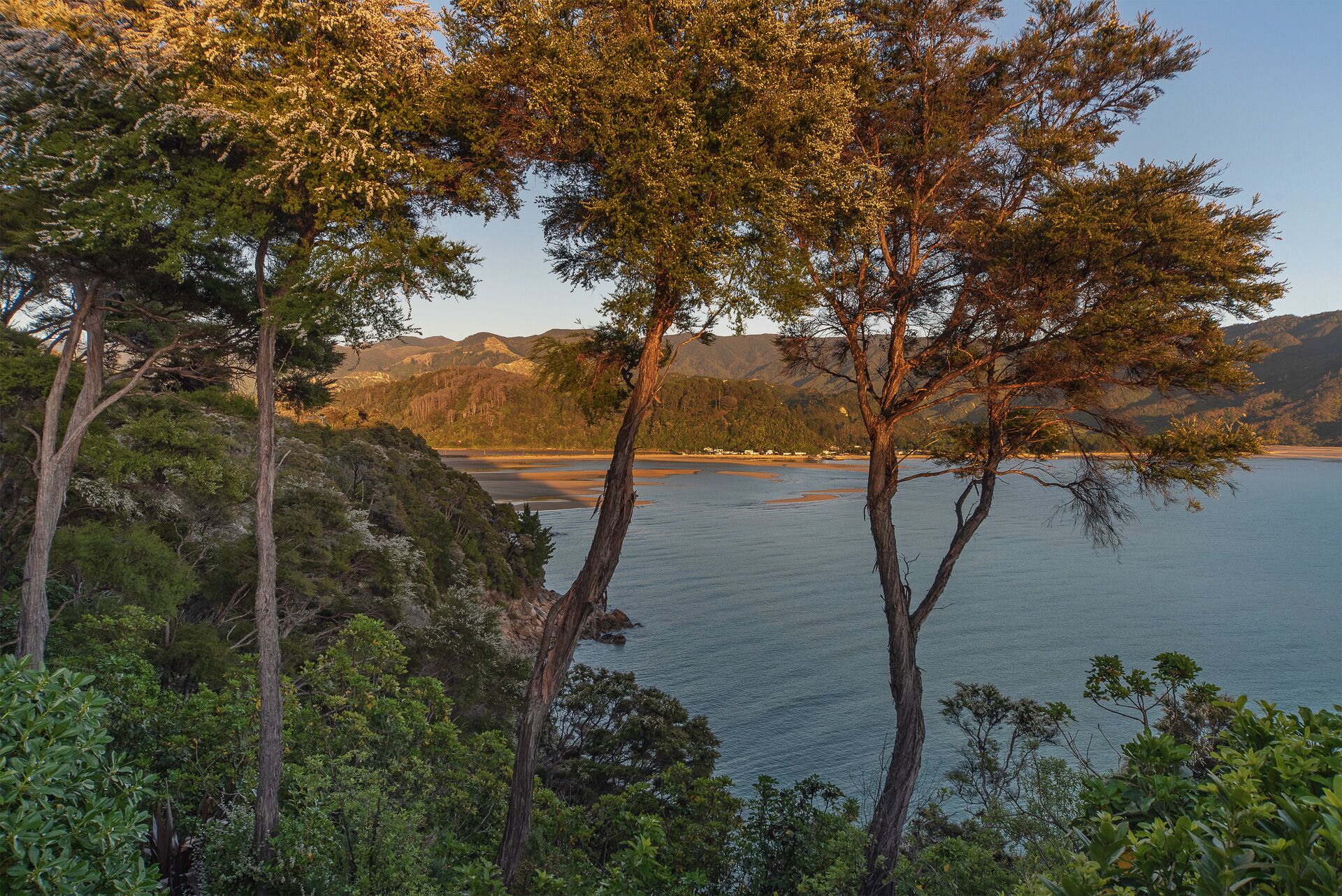 Un paisaje costero con árboles y un mar tranquilo.