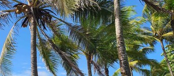 Kami House conveniently located near the beach perfect for a couple or family.