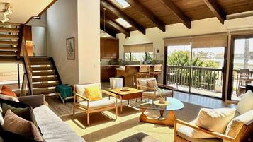 TV connectée, cheminée, livres, écrans d'ordinateur