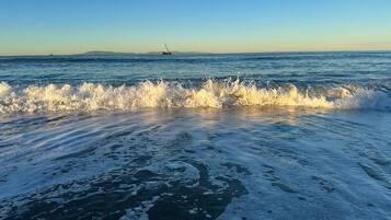 Plage à proximité, chaises longues, serviettes de plage