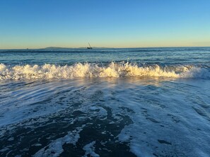Plage à proximité, chaises longues, serviettes de plage