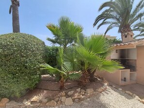 A landscaped garden with palm trees, a neatly trimmed hedge, and a stone pathway.