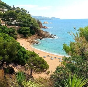 Playa