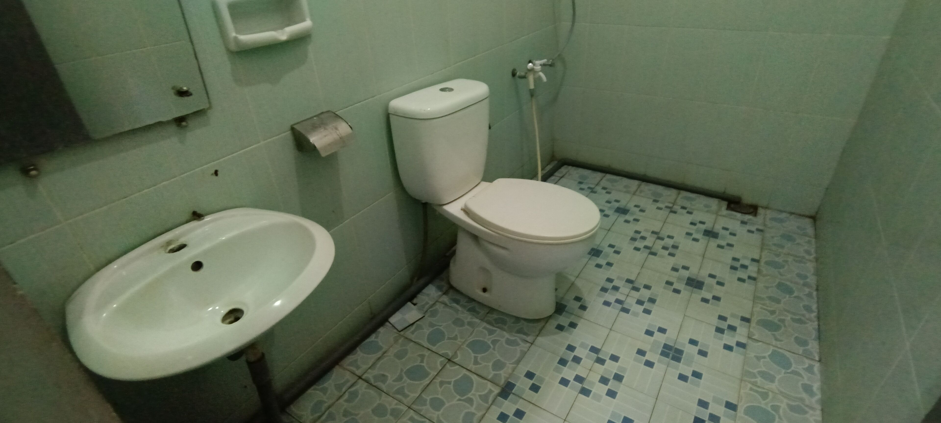 Kylpyhuone, jossa on wc, pesuallas ja kuviollinen lattialaatoitus.