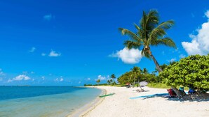 A beach with clear blue water, a sandy shore, and palm trees. - Luxury Seaside Escape ~ Pool ~ Dock ~ Scenic Views (Marathon)