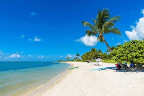 A beach with clear blue water, a sandy shore, and palm trees.