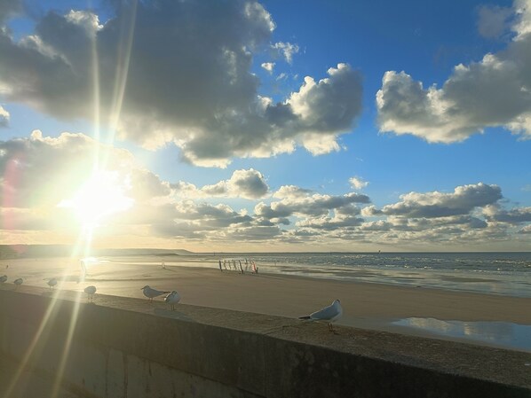 A beach with seagulls, a concrete barrier, and a clear sky with clouds.
