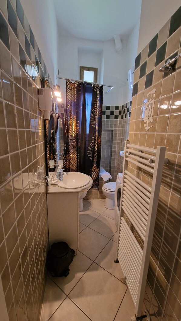 Hair dryer, bidet, towels, soap