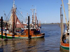 A large fishing boat docked at a harbor with multiple masts and rigging.