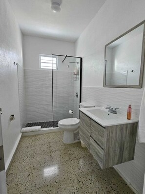 Ducha, secador de pelo, toallas, jabón
