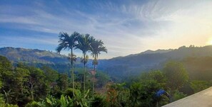 Vue depuis l’hébergement