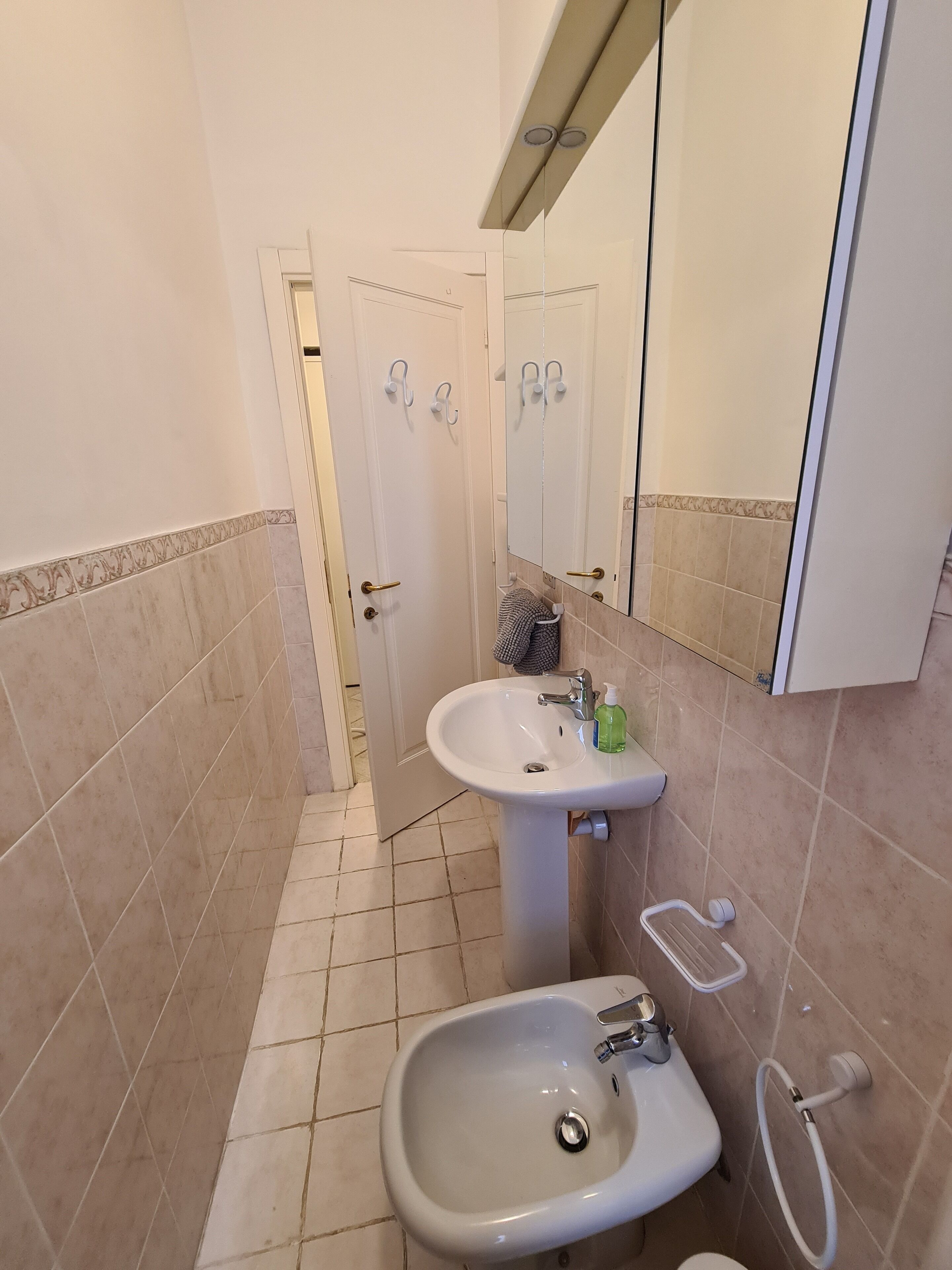 A bathroom with a sink, bidet, and mirror.