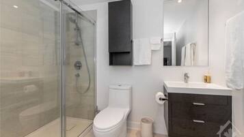 Hair dryer, towels, soap, toilet paper