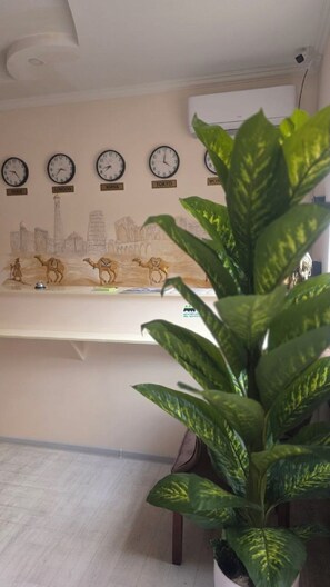 منطقة الاستقبال