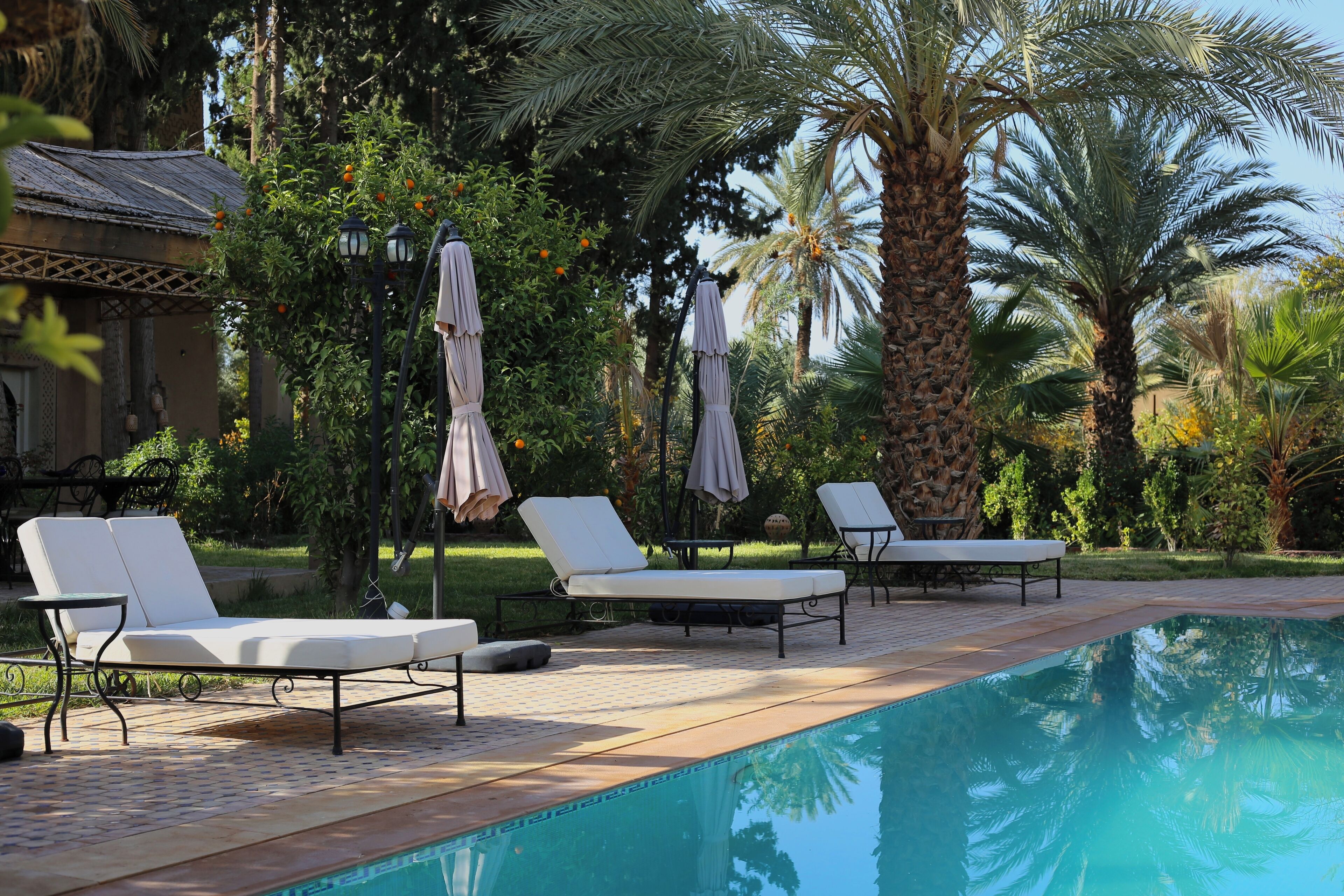 Un área junto a la piscina con sillones de descanso, sombrillas y palmeras.