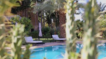 Une piscine entourée de palmiers et de verdure, avec des chaises longues et des parasols.