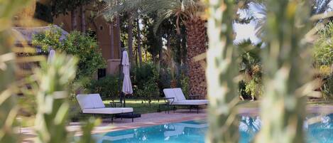 Una piscina con sillones de playa y sombrillas, rodeada de palmeras y follaje.