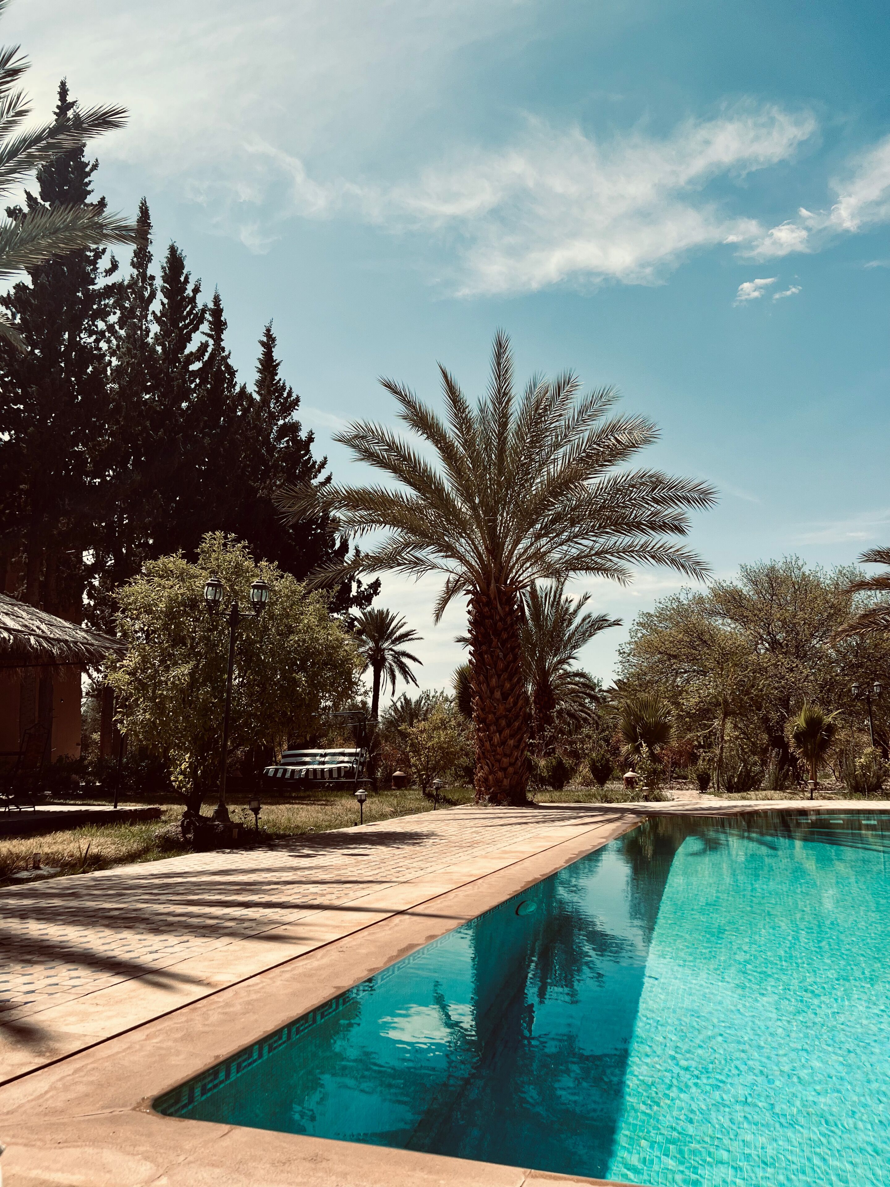 A swimming pool with clear blue water, surrounded by palm trees and a stone pathway.