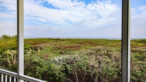 Vista dalla finestra su un paesaggio costiero, tra verdeggiante vegetazione e macchia, con cielo sereno e nuvole sparse.