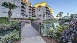 A pathway leading to a pool surrounded by lush greenery and palm trees, with multi-story buildings in the background. - Oceanfront luxury, ocean and pool views, good availability 3104 Windsor Court (Hilton Head)