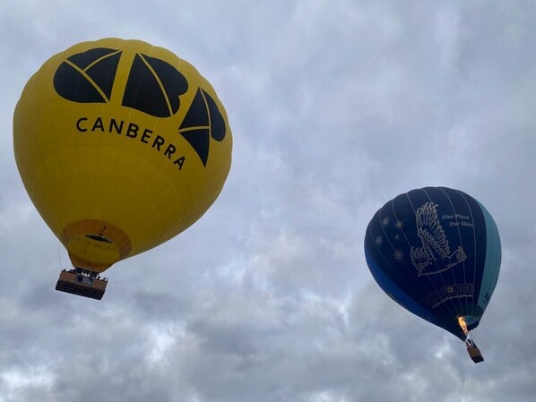 Two hot air balloons, one yellow and one blue, with text on them.