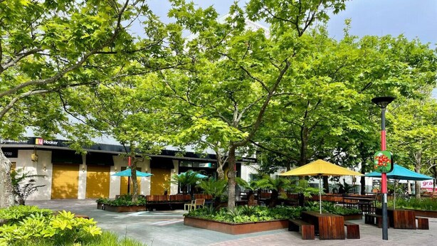 Een terras met tafels en stoelen, omgeven door groen en bomen.