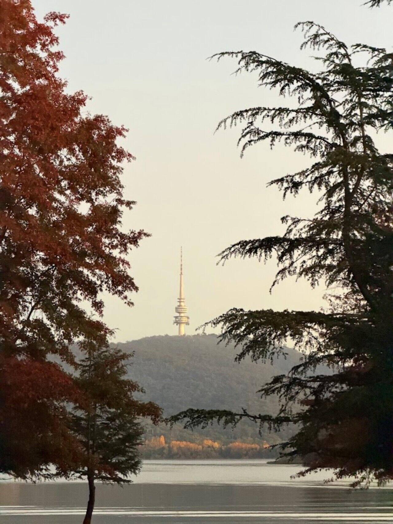 Een toren op een heuvel, omringd door bomen.