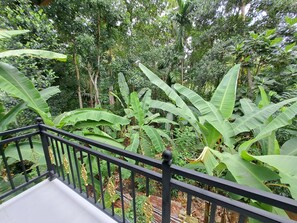 Property grounds - Hikka Cherish (Hikkaduwa, Galle District, Sri Lanka)